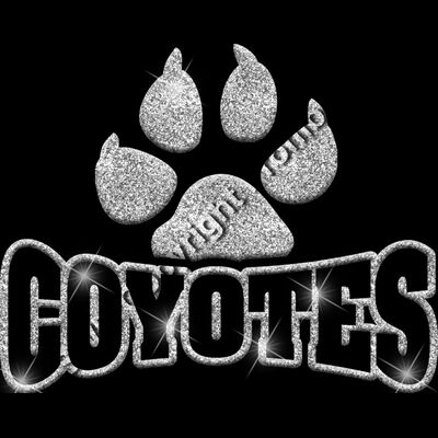 GLT32 SILVER GLITTER Thumbnail