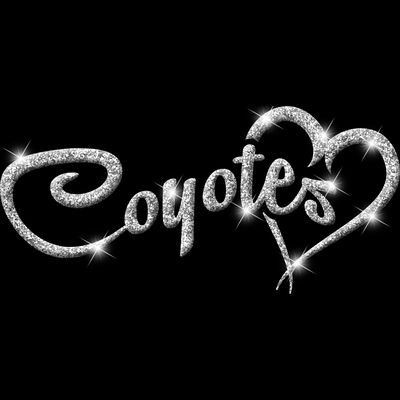 GLT6   SILVER GLITTER Thumbnail